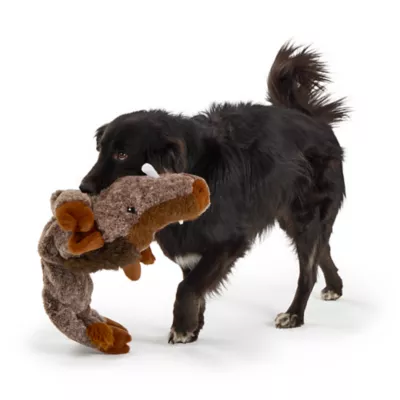 Joyhound Realistic Plush Boar Squeaky Plush Dog Toy