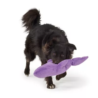 Joyhound Biteshield Plush Shark Squeaky Plush Dog Toy - Image 3