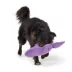 Joyhound Biteshield Plush Shark Squeaky Plush Dog Toy image thumbnail 3