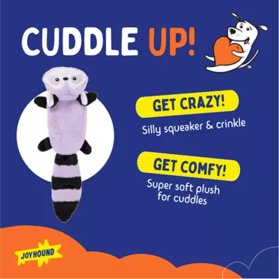 Joyhound Flattie Raccoon Dog Toy - Image 2