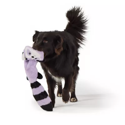 Joyhound Flattie Raccoon Dog Toy - Image 3