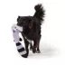 Joyhound Flattie Raccoon Dog Toy image thumbnail 3
