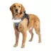 Lumi Pawtners - Lumi One LED Dog Harness image thumbnail 1