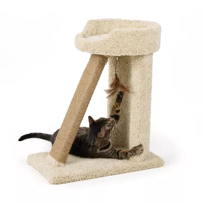Whisker City® Ramp Hangout - Image 1