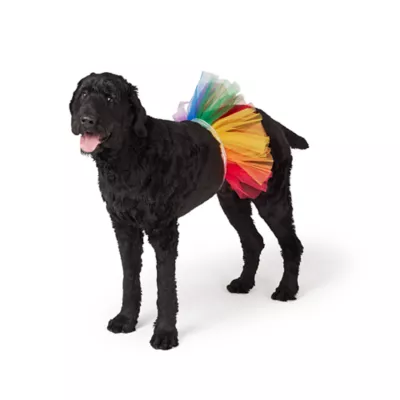 Life of the Party® Rainbow Dog Tutu - Image 1