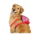 Life of the Party® Cherries Dog Backpack image thumbnail 1