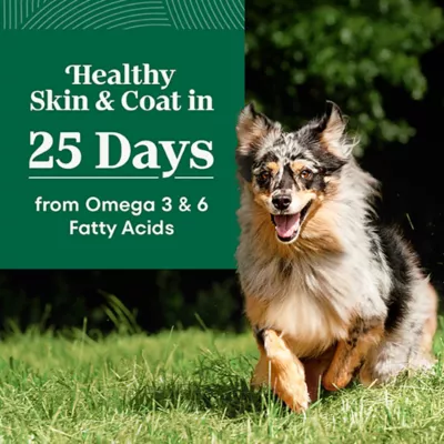 Nutro Natural Choice Adult Dry Dog Food - Salmon & Brown Rice - Image 3