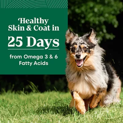 Nutro Natural Choice™ Healthy Aging Senior Dry Dog Food - Lamb & Brown Rice - Image 3