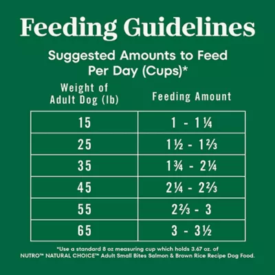 Nutro Natural Choice Adult Dry Dog Food - Salmon & Brown Rice, Small Bites - Image 6