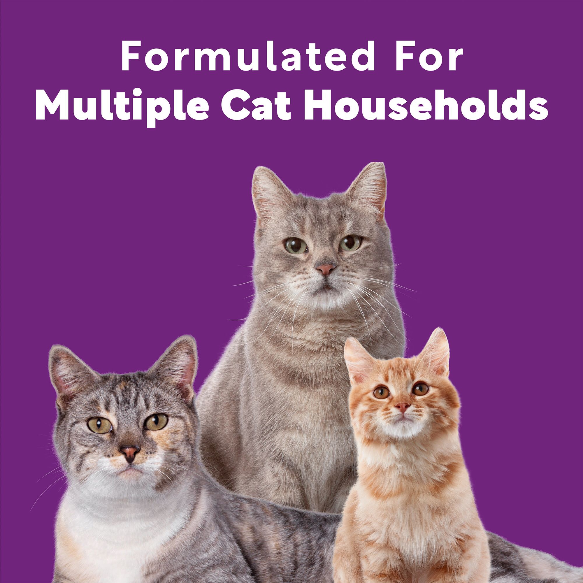 Scoop Away Multi-Cat Clumping Cat Litter - Meadow Fresh Scent, Clumping - thumbnail 5