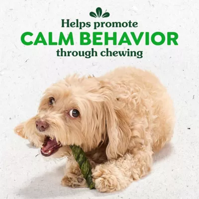 Greenies Occupy Twists Natural Dog Treats Petite Size Chicken Flavor - Image 2