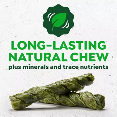 Greenies Occupy Twists Natural Dog Treats Petite Size Chicken Flavor - Image 3
