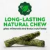 Greenies Occupy Twists Natural Dog Treats Petite Size Chicken Flavor image thumbnail 3