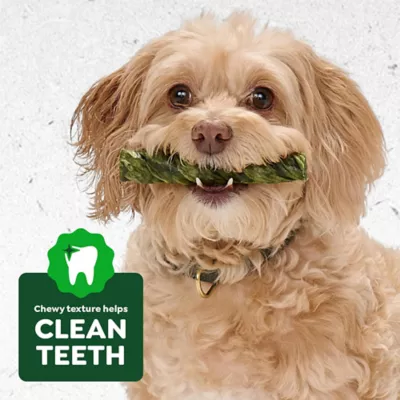 Greenies Occupy Twists Natural Dog Treats Petite Size Chicken Flavor - Image 8
