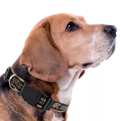 Pets First Los Angeles FC Satin Collar - Image 3