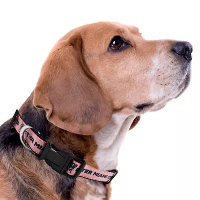 Pets First Inter Miami CF Satin Collar - Image 3