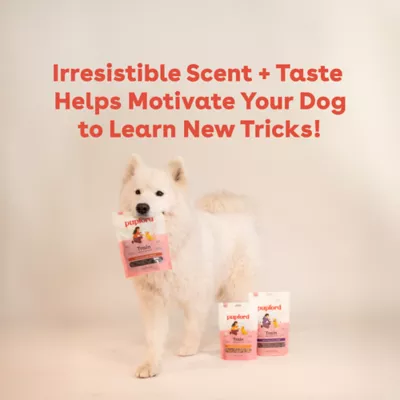 Pupford All Life Stages Freeze-Dried Training Dog Treats - Beef 4.5 oz - Image 4