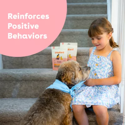 Pupford All Life Stages Freeze-Dried Training Dog Treats - Chicken 4.5 oz - Image 7