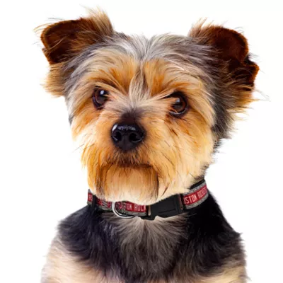 Pets First Houston Rockets Satin Collar - Image 3
