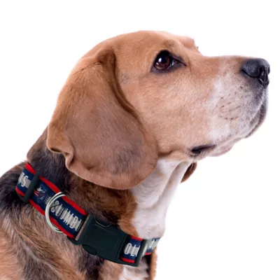 Pets First Colombus Blue Jackets Satin Collar - Image 3