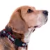 Pets First Colombus Blue Jackets Satin Collar image thumbnail 3