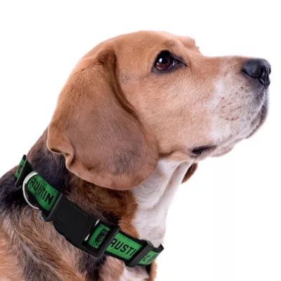 Pets First Austin FC Satin Collar - Image 3