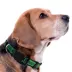 Pets First Austin FC Satin Collar image thumbnail 3
