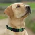 Pets First Austin FC Satin Collar image thumbnail 4