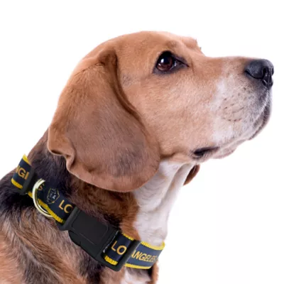 Pets First LA Galaxy Satin Collar - Image 3