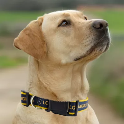 Pets First LA Galaxy Satin Collar - Image 4