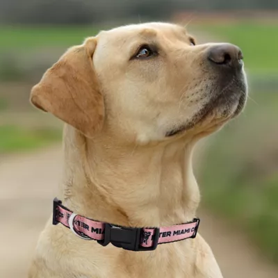 Pets First Inter Miami CF Satin Collar - Image 4