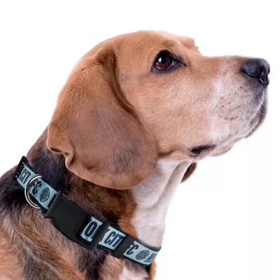 Pets First New York City FC Satin Collar - Image 3