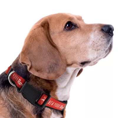 Pets First New York Red Bulls Satin Collar - Image 3