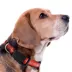 Pets First New York Red Bulls Satin Collar image thumbnail 3