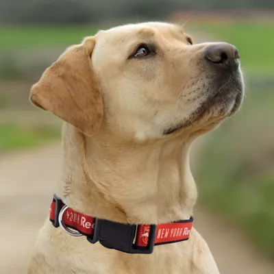 Pets First New York Red Bulls Satin Collar - Image 4