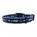 Pets First Philadelphia Union Satin Collar image thumbnail 1