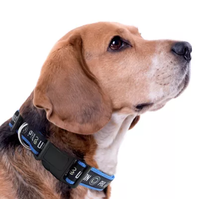Pets First Philadelphia Union Satin Collar - Image 3