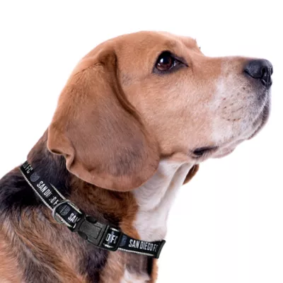 Pets First San Diego FC Satin Collar - Image 3