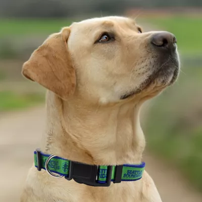 Pets First Seattle Sounders FC Satin Collar - Image 4