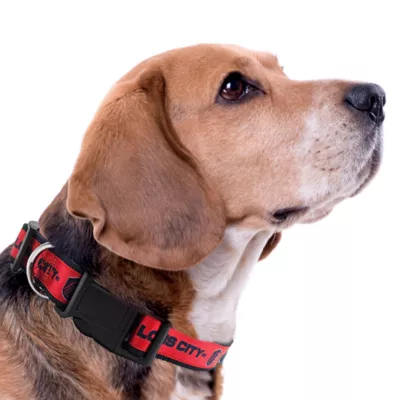 Pets First St. Louis SC Satin Collar - Image 3