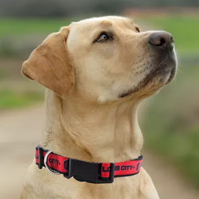 Pets First St. Louis SC Satin Collar - Image 4
