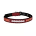 Pets First Florida Signature Pro Collar image thumbnail 1