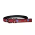 Pets First Kentucky Signature Pro Collar image thumbnail 1