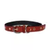 Pets First Louisville Signature Pro Collar image thumbnail 1