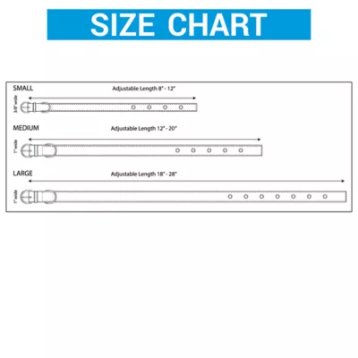 Pets First Louisville Signature Pro Collar - Image 4