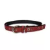 Pets First Ohio State Signature Pro Collar image thumbnail 1