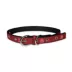 Pets First Oklahoma Signature Pro Collar image thumbnail 1
