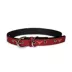Pets First Texas Signature Pro Collar image thumbnail 1