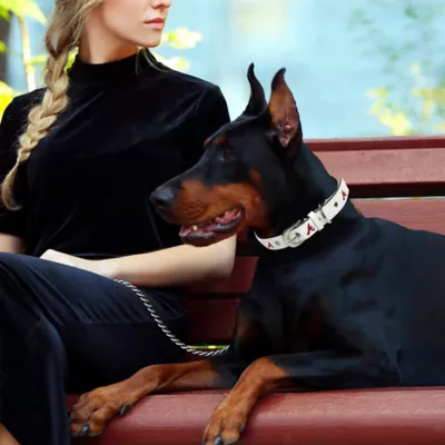 Pets First Atlanta Braves Signature Pro Collar - Image 3