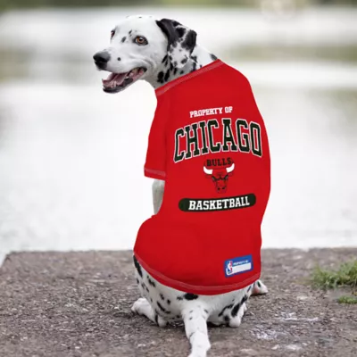 Pets First Chicago Bulls Tee - Image 2